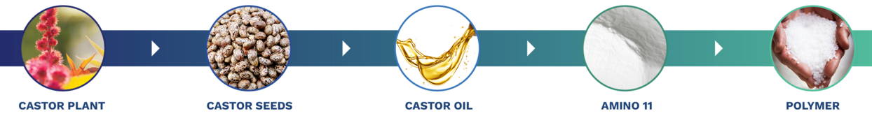 Castor-Amino-PA11 Chain