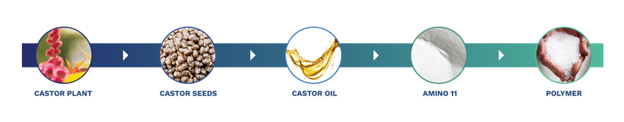 Castor-Amino-PA11 Chain